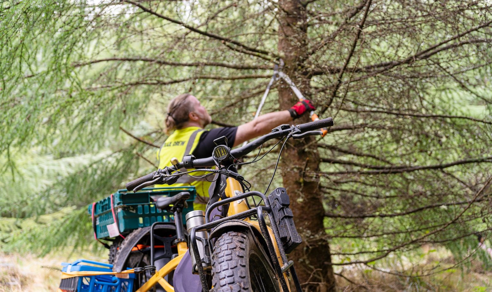 Orox for trail building